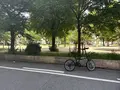 堀江公園の写真_1363696