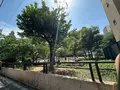 堀江公園の写真_1363699