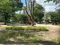堀江公園の写真_1363704