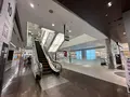 大丸 心斎橋店の写真_1364248