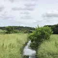 支川都川の写真_1364299