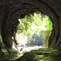 金神の滝の写真_1365889