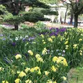 千葉公園の写真_1366087