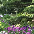千葉公園の写真_1366088