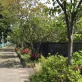 ろっぽう水のみちの写真_1366113