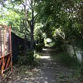 ろっぽう水のみちの写真_1366115