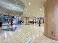 ディアモール大阪の写真_1366933