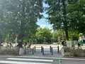 靱公園の写真_1367045