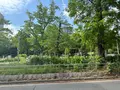靱公園の写真_1367047