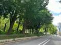 靱公園の写真_1367048