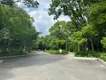 靱公園の写真_1367049
