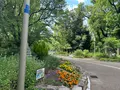 靱公園の写真_1367050