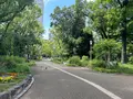 靱公園の写真_1367051