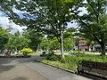 靱公園の写真_1367053
