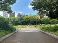 靱公園の写真_1367055