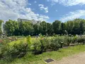 靱公園の写真_1367065