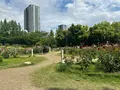 靱公園の写真_1367066