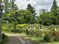 靱公園の写真_1367067