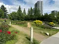 靱公園の写真_1367068