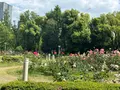 靱公園の写真_1367070