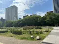 靱公園の写真_1367074