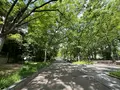 靱公園の写真_1367077
