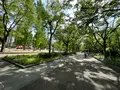 靱公園の写真_1367078