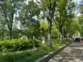 靱公園の写真_1367081