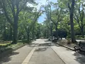 靱公園の写真_1367082
