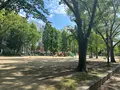 靱公園の写真_1367084
