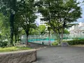 中之島西公園の写真_1367400