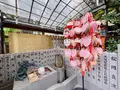 露 天神社（お初天神）の写真_1368246