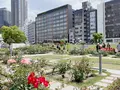 中之島バラ園の写真_1368367