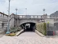 中之島公園の写真_1368986