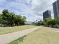 中之島公園の写真_1368988