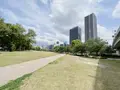 中之島公園の写真_1368989