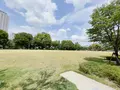 中之島公園の写真_1368990