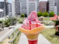 中之島公園の写真_1368992