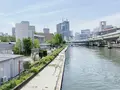 中之島公園の写真_1368994