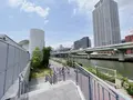 中之島公園の写真_1369010