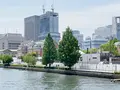 中之島公園の写真_1369011