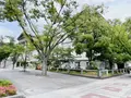 大阪府立中之島図書館の写真_1369049