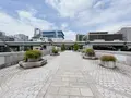 水晶橋の写真_1369113