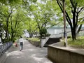 中之島緑道の写真_1369278