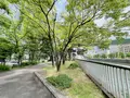 中之島緑道の写真_1369279