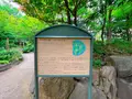 中自然の森の写真_1369306