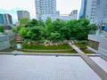 中自然の森の写真_1369309