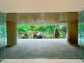 中自然の森の写真_1369310