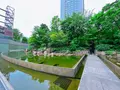 中自然の森の写真_1369311