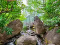 中自然の森の写真_1369316